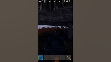 SAR vs AK who wins Rust