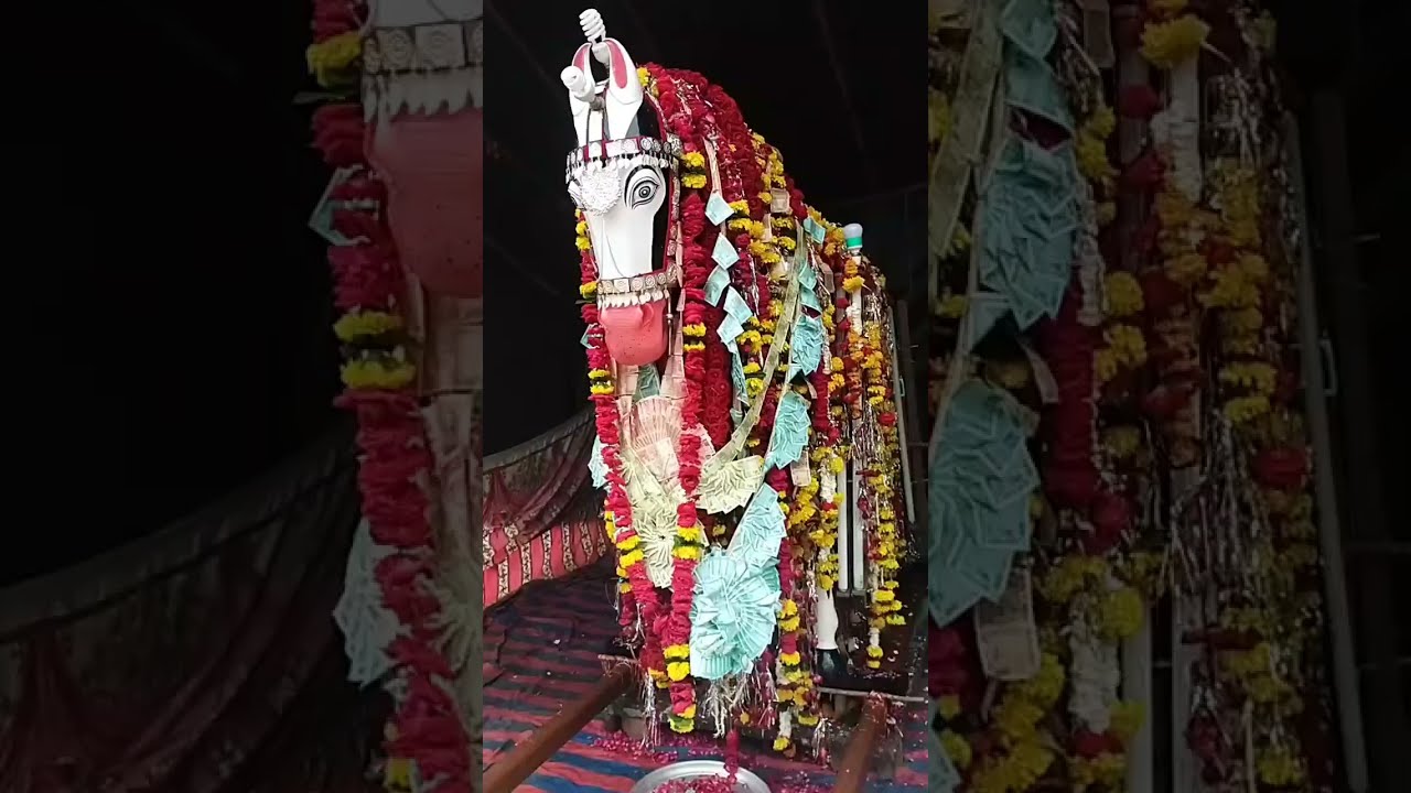 shere shahjalal pura bade sahab barnagar 2021// 10 tarikh muharram 