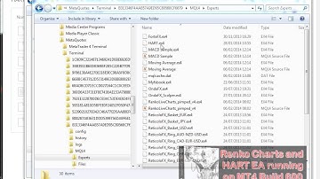 Renko Charts and HART EA running on MT4 Build 600