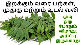 Teeth, itching, hair loss, back and body pain will not occur until death, Azadirachta indica
