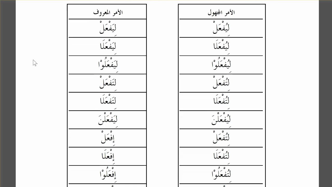 Amr and Nahi YouTube