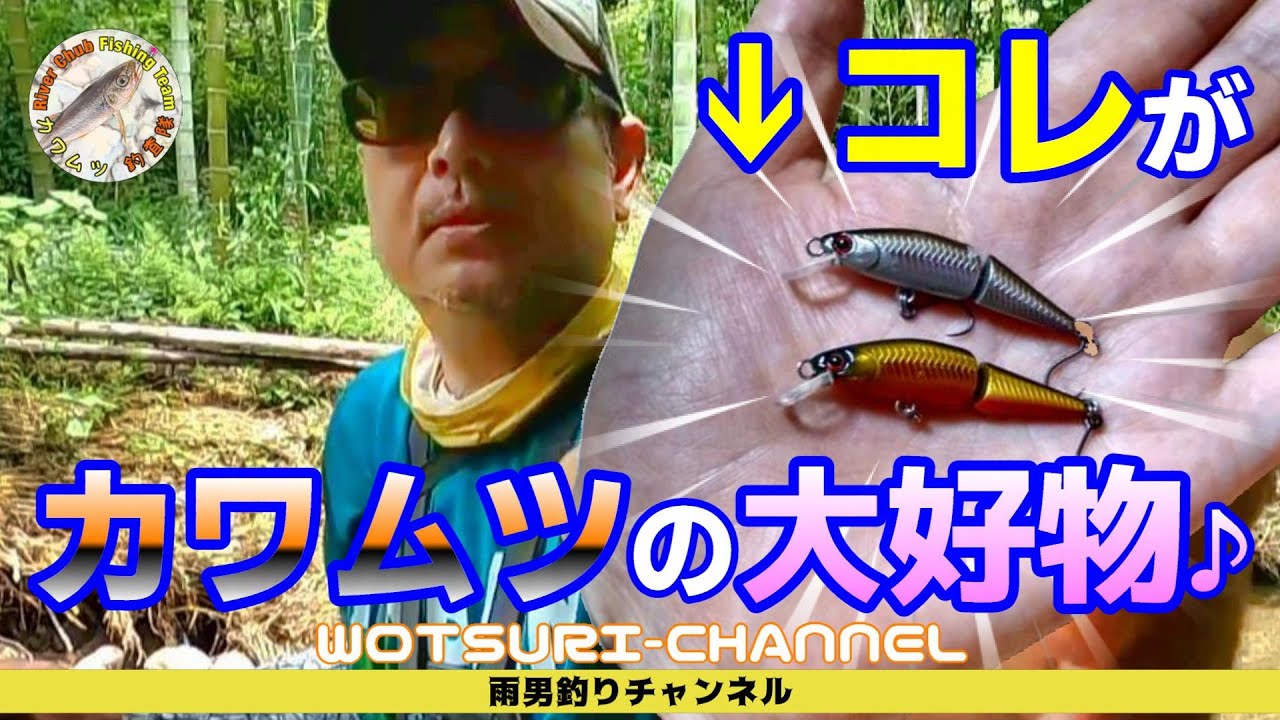 チャビング☆ただ巻きで釣れるダイワ ドクターミノーⅡジョイント42S