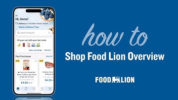 How To Shop Food Lion Overview