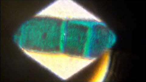 8764 Build Your Own 150x Microscope