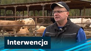 Hałas I Strzały. Wieś Obok Strzelnicy Walczy O Spokój