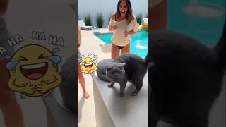 Real cat Freaks Out, she Cuts a Cat Cake #shorts #ViralShorts #catcake
