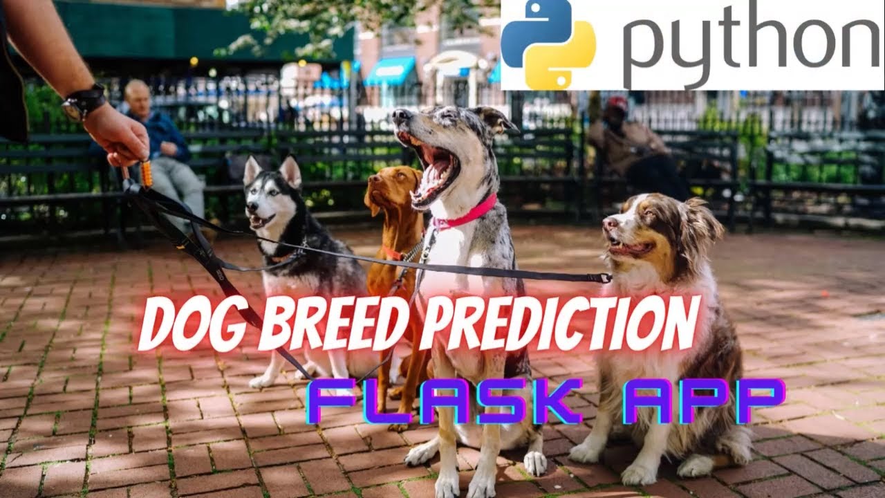 Dog Prediction Flask App using Python Keras YouTube