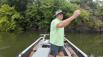 What People Will Do For Catfish Bait