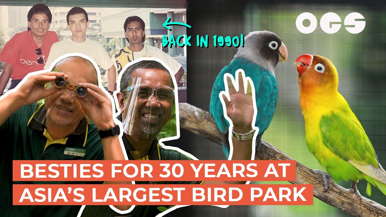 Besties for 30 years At Asia’s Largest Bird Park
