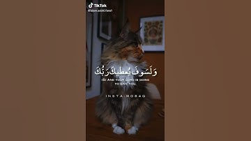 القارئ اسلام صبحي//راحه نفسيه🤎آيات قرآنيه(1)