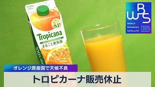 トロピカーナ販売休止　オレンジ原産国で天候不良【WBS】（2023年5月26日）