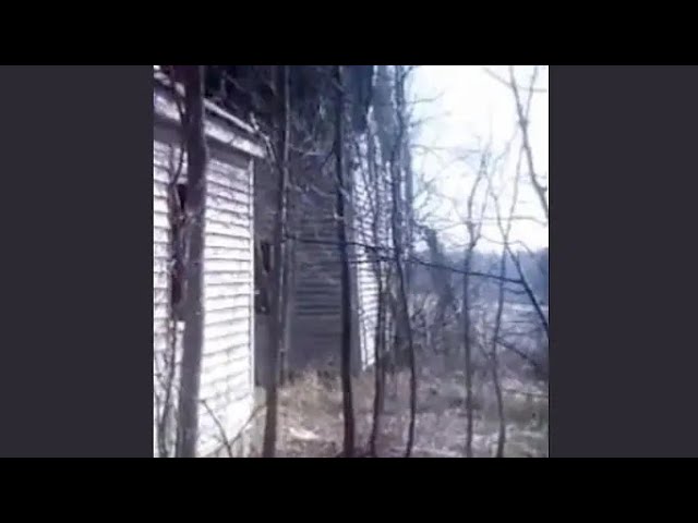 Watch K0d4m4, Fake Flowers - Vessel (Video Release) on YouTube Watch K0d4m4, Fake Flowers - Vessel (Video Release) on YouTube