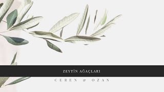 Zeytin Ağaçları- Ceren&Ozan Resimi