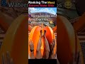 Ranking the best water slide fears#waterfall #waterslide #waterpark #adrenaline