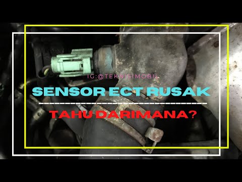 5 Ciri Sensor ECT Rusak - Engine Coolant Temperature Sensor Failure