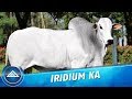 Iridium KA