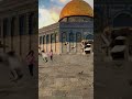 عيوننا إليك ترحل كل يوم تدور في أروقة المعابد عيوننا إليك ترحل كل يوم تدور في أروقة المعابد