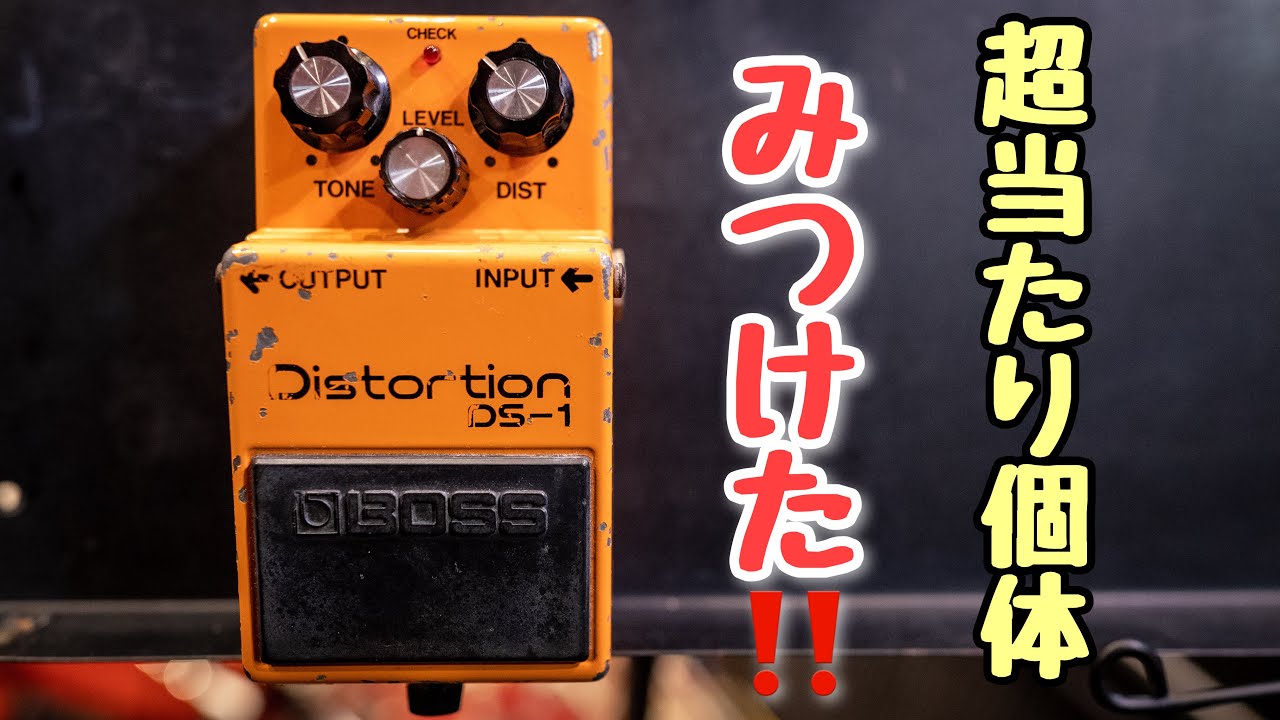 【大発見】ボスのディストーションって良いの⁉ BOSS DS-1 Distortion / D’pergo AVC Stratocaster /  AKG Overdrive Special 100W