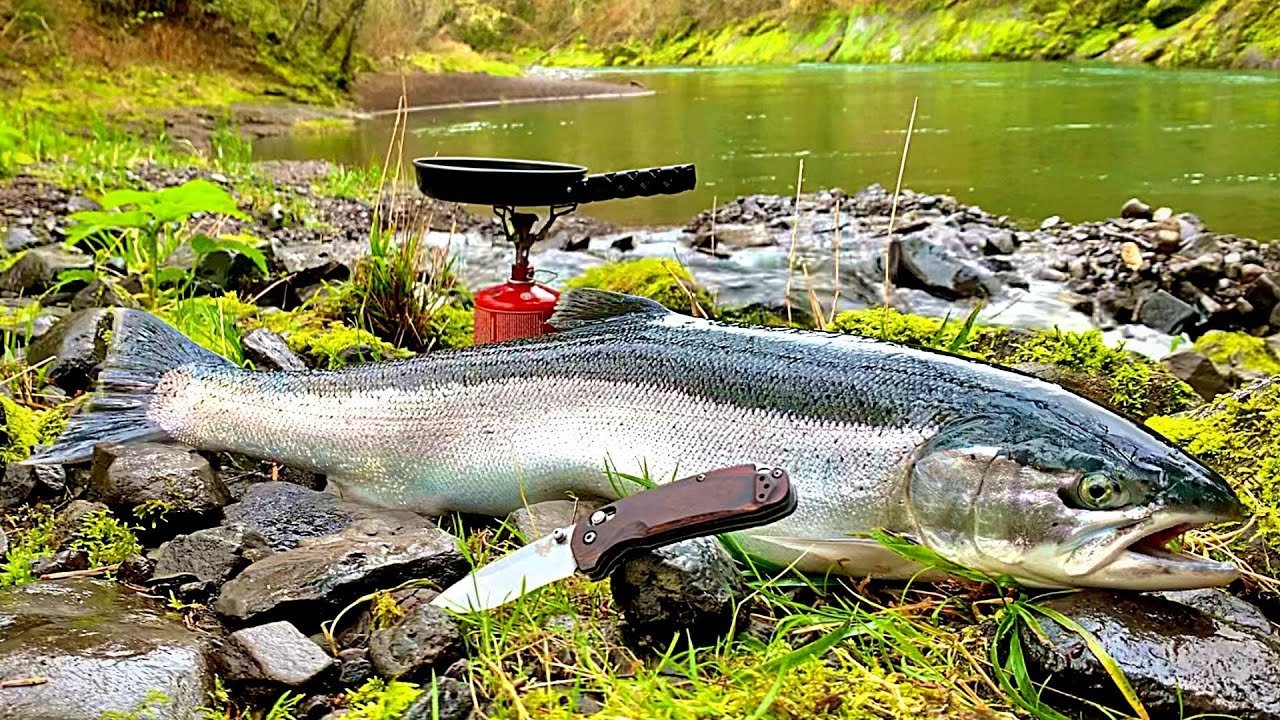 Mastering the Art of Catching and Cooking Steelhead: Essential Tips and  Recipes