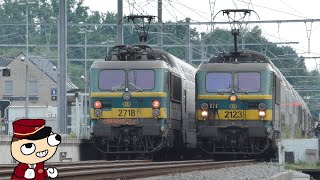 2 M5 Dubbeldekker stammen in Neerpelt | NMBS / SNCB