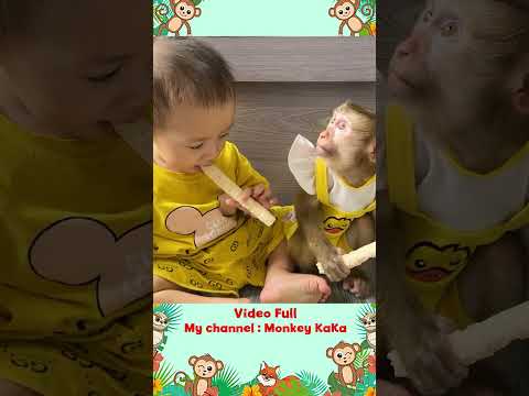 Quynh kissed Monkey