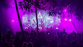 Tom & Collins live at Zamna Festival Tulum 2024