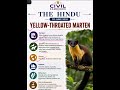 Yellow-Throated Marten Explained 🐾 | First Time in Kaziranga | UPSC Current Affairs 2026 #upsc