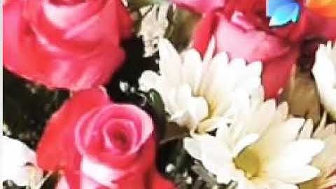 سورة آل عمران صلاح بو خاطر