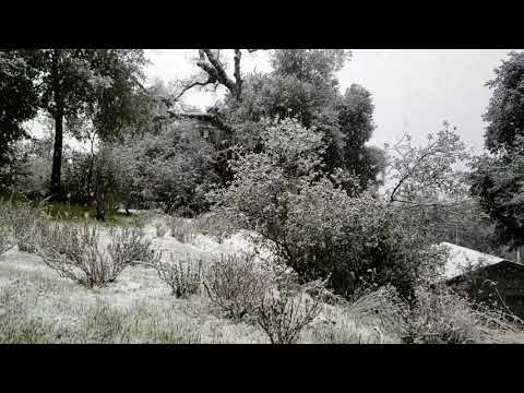 March Winter Storm 2021 - Descanso, CA