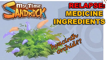 Relapse - how to get ingredients for the medicine || MY TIME AT SANDROCK