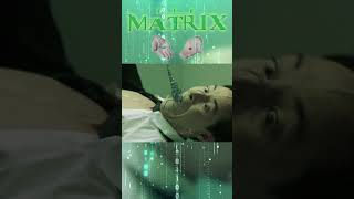 I Want My Phone Call 22 - Matrix 1999