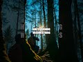Nature's Practical Playbook Fire Wayfinding and Forage Reimagined