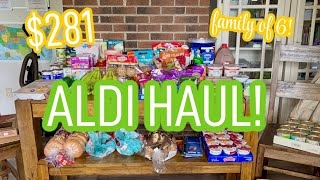 281 Two Week Aldi Grocery Haul