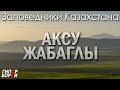 96000 тг – зарплата хранителя леса / АКСУ-ЖАБАГЛЫ – 95 / Заповедники Казахстана - ГИПЕРБОРЕЙ. ЭкоЭхо