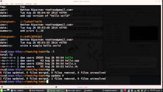 DVCS using Mercurial and TortoiseHG  (part 2/3)