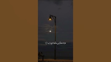 مقطع قران قصير Quran🕊 ﴿قَالَ لَا تَخَافَا ۖ إِنَّنِي مَعَكُما أَسْمعُ وَأرَىٰ﴾ القارئ عبدالرحمن مسعد