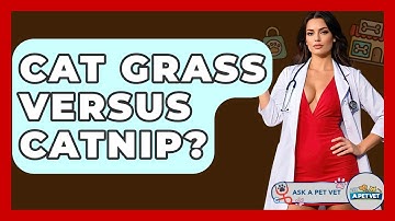Cat Grass Versus Catnip? - Ask A Pet Vet