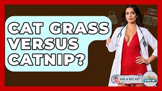 Cat Grass Versus Catnip? - Ask A Pet Vet