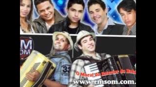 Zezinho da ema 2012 te amo um tantão assim oh