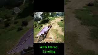 Afk Horse Training Trick In Bdo You Didnt Know
