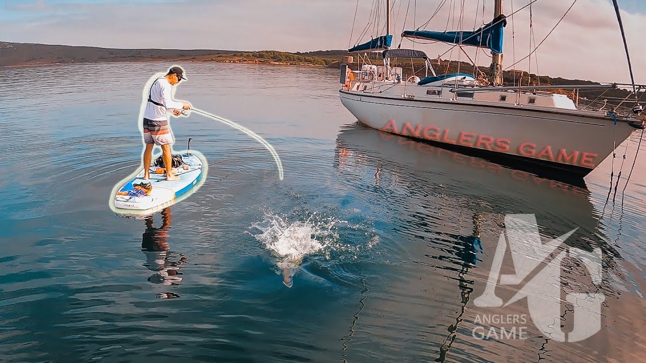 DORADAS con JIGS [Partida Piloto ROCKFISHING] | Anglers Game #1