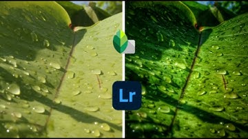 How to edit like pro using Snapseed and Adobe lightroom cb