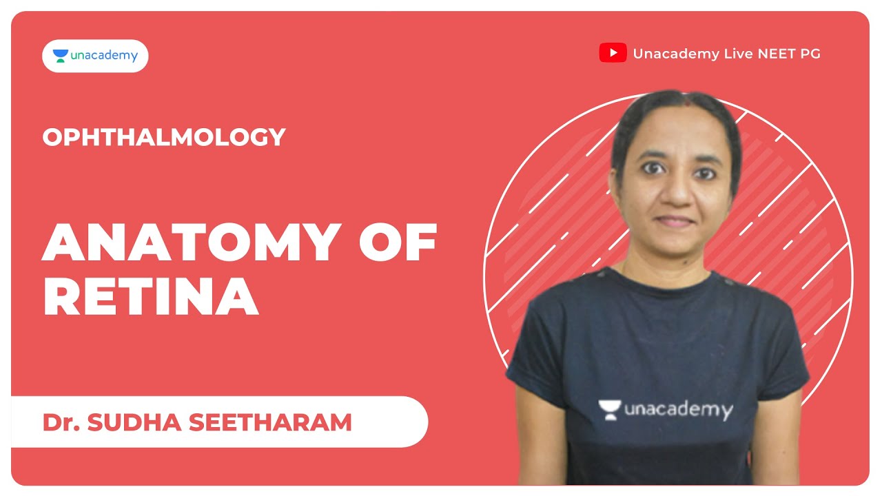 Anatomy of Retina | Ophthalmology | Dr. Sudha Seetharam