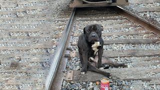 He Was Left Alone on The Train Track, Spent 2 Days Ducking Under The Trains Before Being Rescued