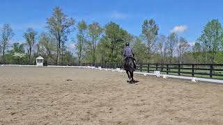 Ozzy Ed Good Canter L