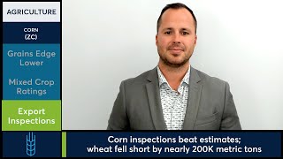 Grain futures dipped as crop ratings and exports diverged. 7/29/25