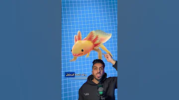 رجله بتقطع و بنطلع تاني محمود زايد حقائق اكسبلور ديزني قصص 