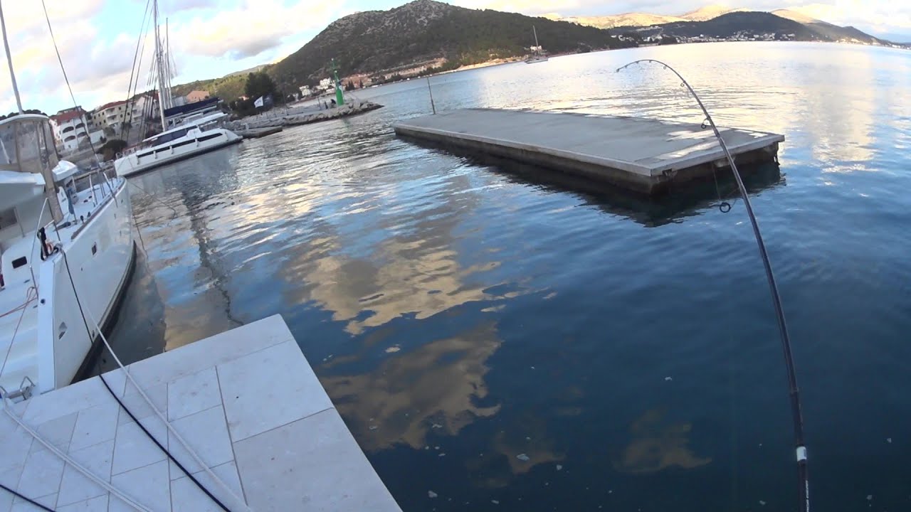 Posljednji pozdrav Xorus Patchinko 100 - prvi ribolov u 2026. godini. 1:0 za brancine