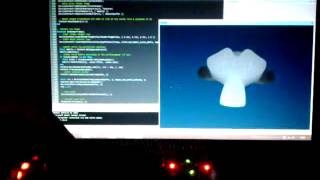 Accelerometer via USB controlling 3D object screenshot 5