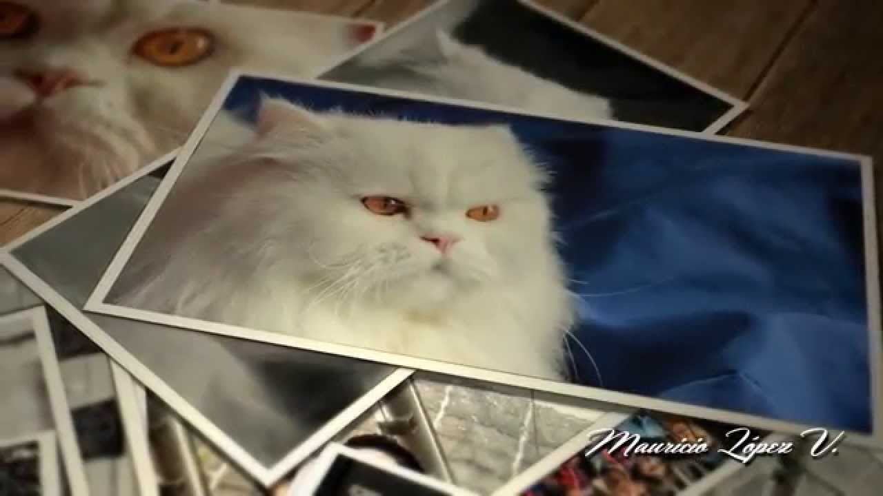 Primeros Pasos en la Fotografía